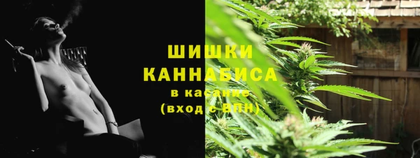 дурь Арсеньев