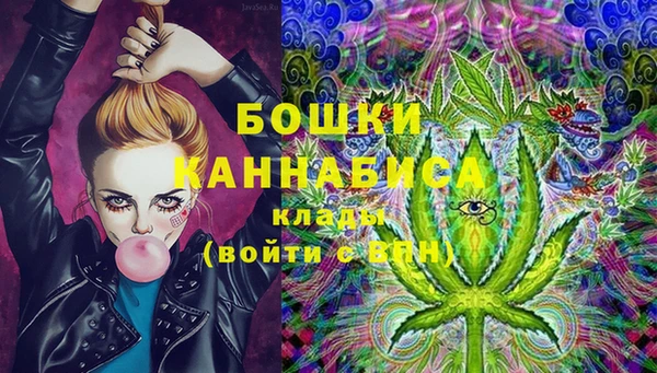 дурь Арсеньев