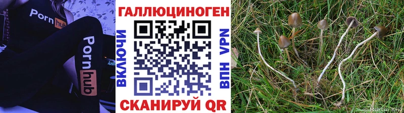 дарк нет состав  Среднеуральск  Псилоцибиновые грибы ЛСД 