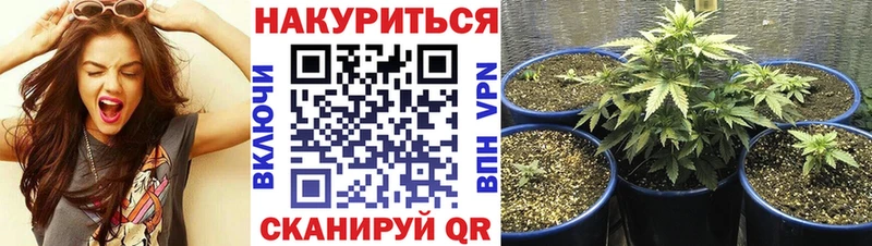 наркота  Среднеуральск  ОМГ ОМГ ONION  Марихуана OG Kush 